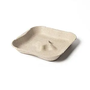 Imagen de Bandeja Compostable para 4 piezas de Fruta